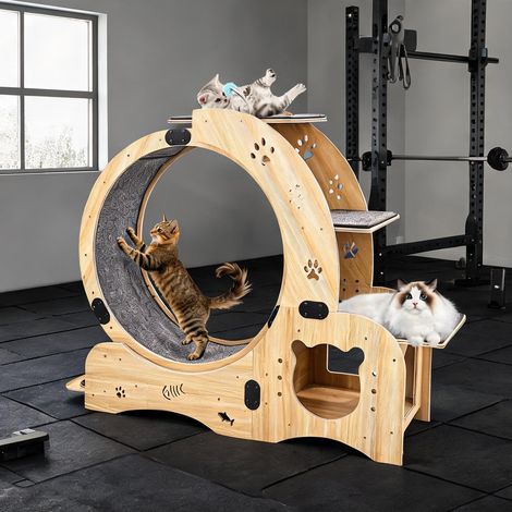 Roue d'exercice pour chat 6-en-1 en bois naturel (1/5)