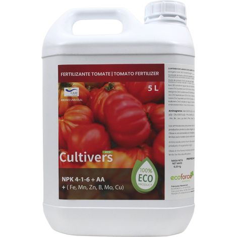 Sorten spezifische Tomaten kolygisch klein 5 l