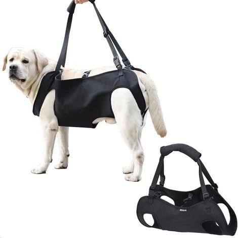 Harnais de Levage pour Chien,Harnais de Soutien pour Pattes arrière,Aide à la Marche de Levage Gilet de Traction,Sangles Respirantes réglables pour Le Dos et la récupération des Chiens (XL, Noir) (1/5)
