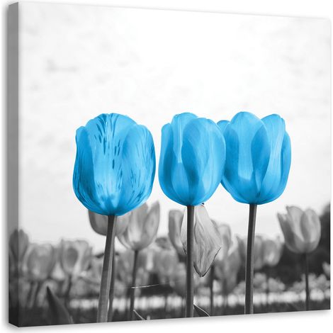 Tableau sur toile Fleurs Tulipes Nature Bleu 40x40 (1/5)