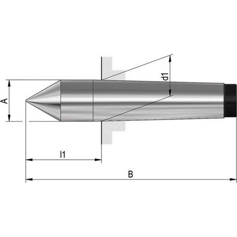 Rincóns duros, tipo 665, punta llena, MK : 2, A 18,0 mm, B 100 mm, d1 : 17,780 mm, l1 : 36,0