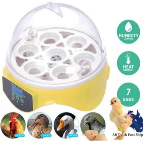 Incubateur - Incubateur Couveuse Automatique - 7 Oeufs - Appareil à Couver Oiseaux Volaille Eleveurs (1/4)