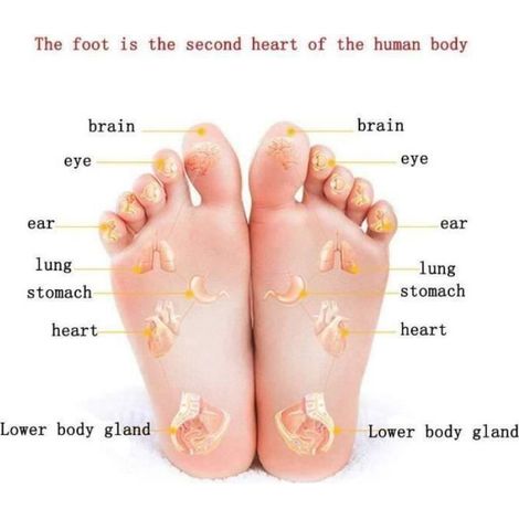Appareil Massage Pied pour La Circulation Sanguine Jambe et Appareil de Traitement de Relaxation Machine pour Le Corps - Blanc (1/4)