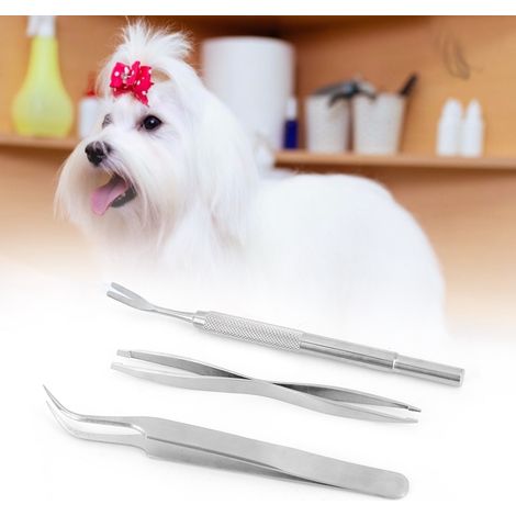 Pince à épiler en acier inoxydable pour retirer les tiques des chiens et chats, avec accessoire de toilettage (1/5)