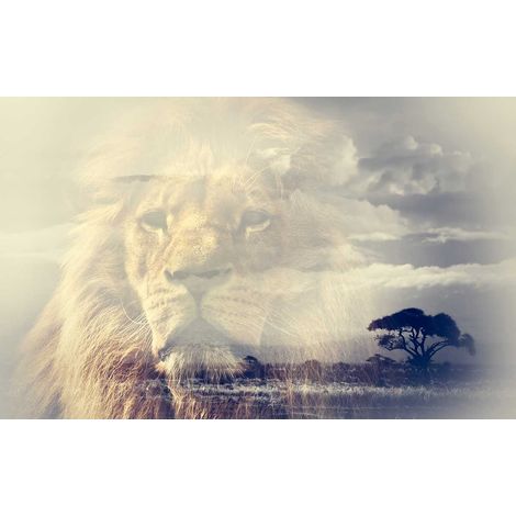 Tableau animaux reflet du roi lion - 80x50 cm (1/5)