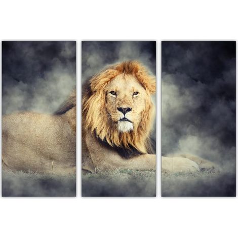 Lot de 3 Affiches murales Multi Panneaux Lion dans la poussière 90 x 60 cm Tableau Art Décoration Murale pour la Maison, le Bureau, le Salon, la Chambre à coucher - Prête à être accrochée (1/5)