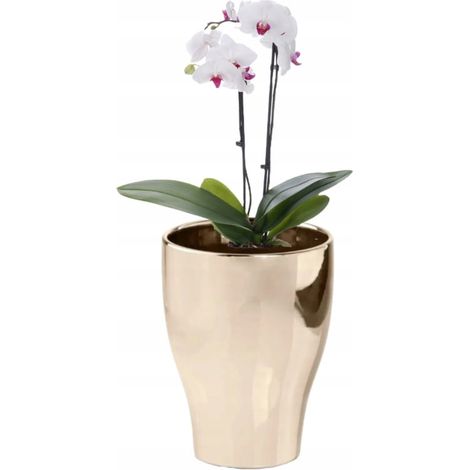 Vaso da fiori rotondo in ceramica, color oro, 17 cm