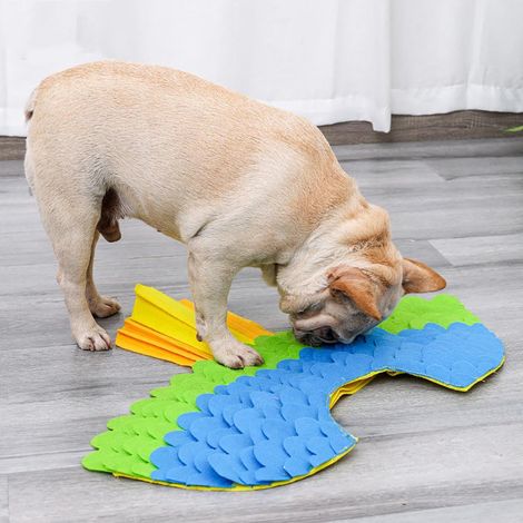 Déguisements pour animaux domestiques (chiens, chats, oiseaux), vêtements en feutrine avec ailes d'oiseaux, tapis de détection pour Halloween ou Noël (1/5)