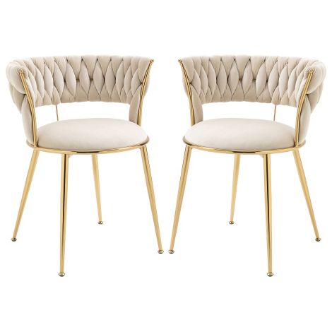 Lot de 2 chaises velours, dossier moderne, multi-usages salon/chambre (1/5)
