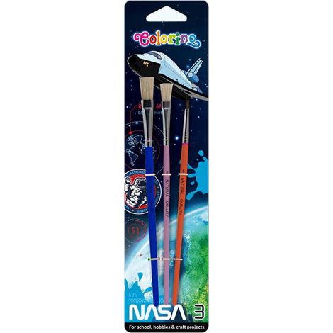 Pinceaux scolaires, lot de 3, sous blister Colorino Nasa