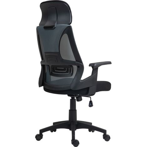 Chaise de bureau ergonomique avec support lombaire et appui-tete reglable noir (1/5)