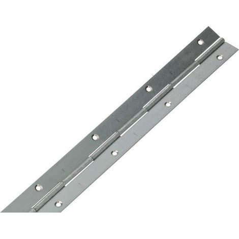 KOTARBAU® Cerniera continua 500 x 31 mm (19,69 x 1,22 in) Cerniera per piano Tagliata a misura Cerniera Argento zincato