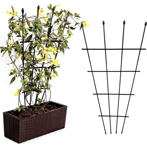 Pergola, traliccio a ventaglio, supporto per piante in vaso, traliccio TG81366 2 pezzi (1/5)