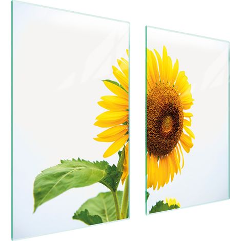 PLACA PROTECTORA DE VIDRIO PARA ESTUFA 75x52 FLOR (1/5)