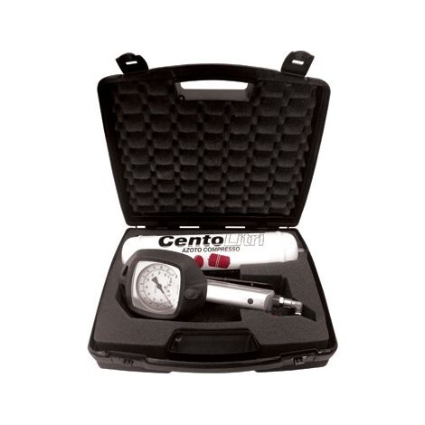 GONFIATORE PORTATILE DI AZOTO 110 LT (PUMP AIR)                        -
