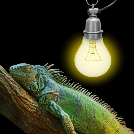 1 Support lampe chauffante, culot E27, câble 220V, orientable 360°, interrupteur réglable, pour reptiles et petits animaux (1/5)