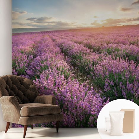 Newroom Tapete Dekorative Vliestapete mit Kleber Modern für Wohnzimmer Schlafzimmer Lavendelfelder 250x250 cm (1/5)