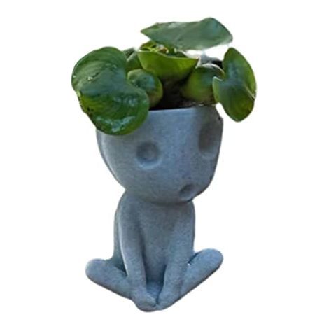 Face Flower Pot Luminous Plant Pot Succulent Plant Pot Cute Resin Cactus Planter with Drainage Hole Home Office Decor (1/4)