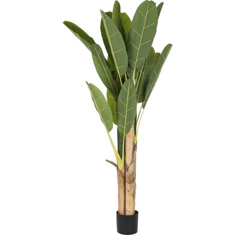 Plante Polyester Pp 90X90X200 Vert (1/4)