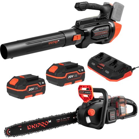 Offre anniversaire Dnipro-M : Kit souffleur et tronçonneuse, 2 batteries 4 Ah et chargeur double