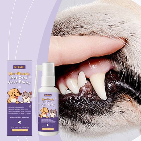 Spray dentaire pour animaux de compagnie : pour une hygiène bucco-dentaire quotidienne, un entretien pratique et un nettoyage en douceur des dents – 100 ml (1/5)