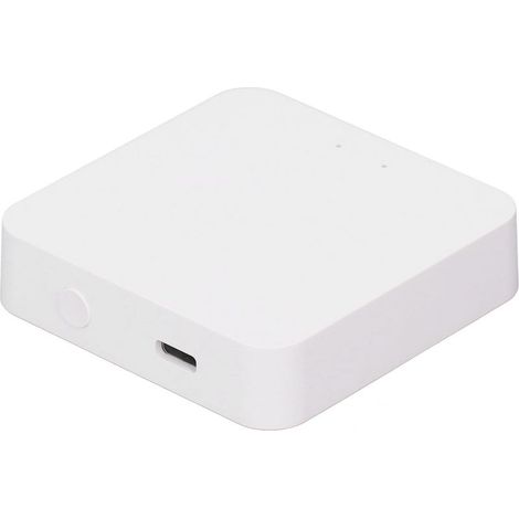 Passerelle Zigbee 3.0 avec Connexion WiFi, Bluetooth et Application pour Smart Home Hub Domotique USB-C (1/5)