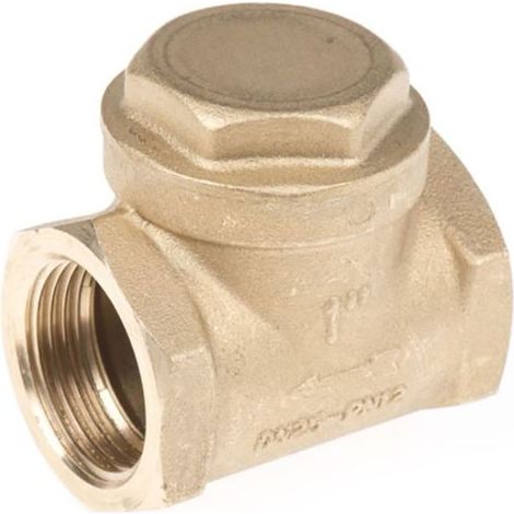 Clapet antiretour en Laiton RS PRO BSPP 1" ( Prix pour 1 ) (1/3)