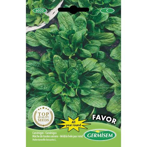 graines Mâche de toutes saisons EC6032 Multicolore