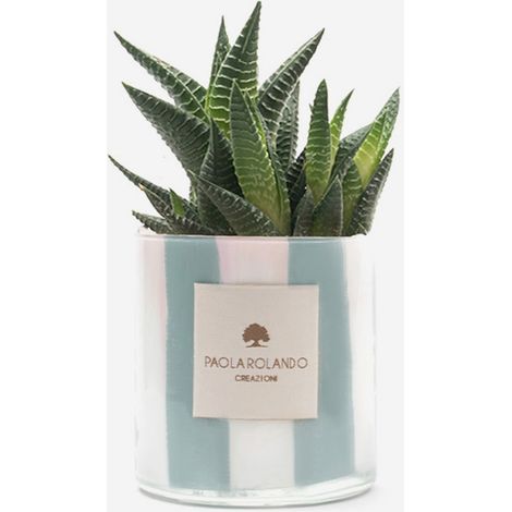 Pianta grassa in vaso di vetro decorato a mano Millerighe H 10 - Navy