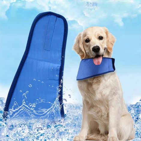 Filiyano-Bandana rafraîchissant pour chien, collier rafraîchissant respirant pour chiens, bandana rafraîchissant instantané pour chien, taille M (1/5)