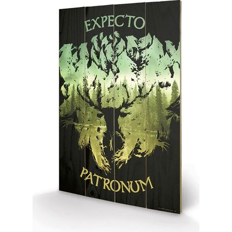 HARRY POTTER - EXPECTO PATRONUM - IMPRESSION SUR BOIS 40X59CM PYRAMID SW11967P (1/2)