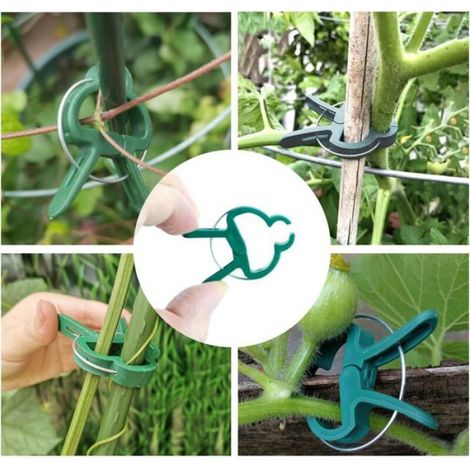 Tuteur Plante Grimpante, Support pour Plantes De Jardin 6 Pièces, avec Pinces à Plantes 20 Pièces, pour Jardin, Hoya, Pothos, Fleu (1/5)