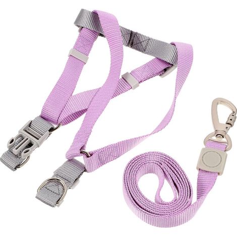 Conjunto ajustable de arnés y correa para cachorros, de poliéster color violeta. (1/5)