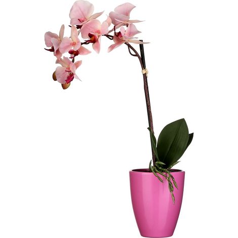 Mica Kunstpflanze Phalaenopsis im Topf rosa, 42 x 20 cm Kunstpflanzen