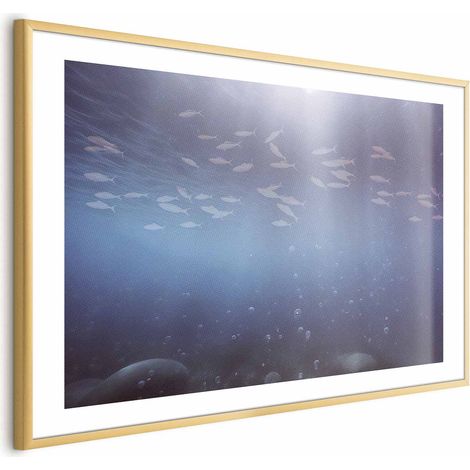 Poster – Fische in der Tiefe (1/4)
