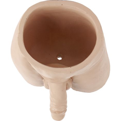 Pot de fleurs original à offrir, idéal pour les petites plantes d'intérieur et les succulentes. Décoration intérieure. (1/5)