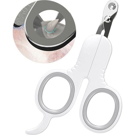 Coupe Griffes pour Chat Professionnel, 2mm Trou Conique Coupe Ongle Chat, Coupe Ongle pour Chiot Lapin Oiseau et Petits Animaux (1/4)
