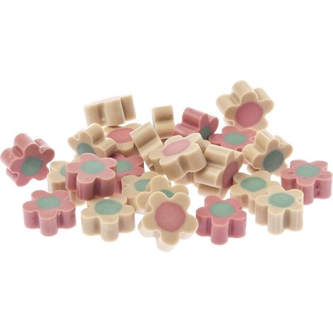 Knochenobst vegetarische Snacks für Hunde Fiorellini 12 Beutel à 120 g mit Calcium und Vitamin C (1/2)