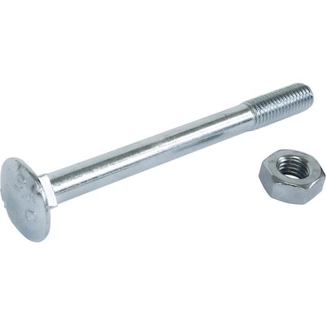 Boulon à tête fendue - Radix - M5 x 40 mm - Galvanisé - avec écrou - DIN 603/555 (200 pcs)