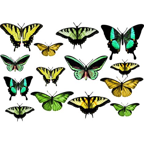 Pegatinas decorativas para niños: mariposas verdes (1/4)