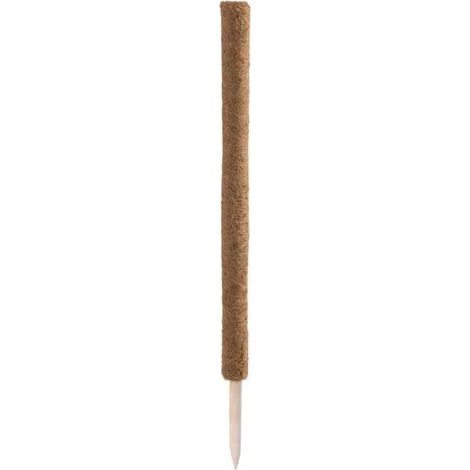 Siena Garden – Tuteur en fibre de coco 80 cm – Rallonge avec latex