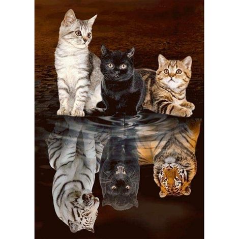 Kit de peinture diamant 5D Chat Tigre Reflet 30x40cm Décoration murale DIY