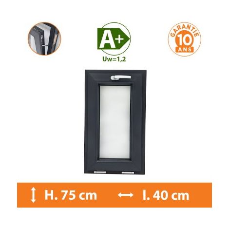 Châssis Abattant Gris vitrage clair - H.75 x 40 cm (1/5)