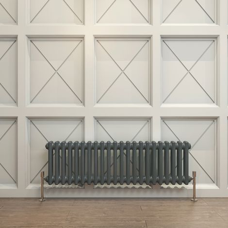 Biubiubath Traditional Cast Iron Radiator 300x1010mm 2 Column Anthracite (1/5)