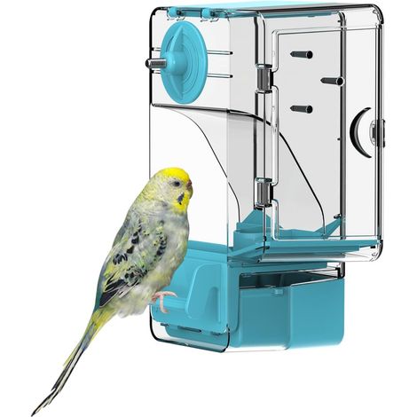 Mangeoire Automatique pour Oiseaux, mangeoire à Cage à Oiseaux avec perchoir Support Multifonctionnel pour Fruits et légumes pour perruches, canaris, calopsittes, pinsons (Bleu)