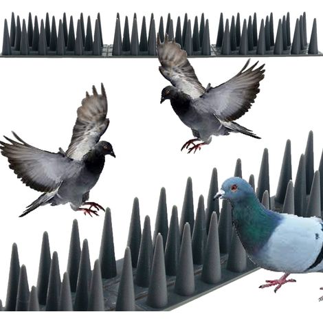 TG71387-2 Vogelspikes für Tauben und Kleintiere, 1 Stück. Vogelspikes für Katzen und Marder.