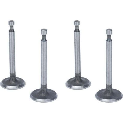 Kit de soupapes de moteur, 2 ensembles de soupapes d'admission antirouille en acier inoxydable pour moteurs à 2KW 2.5KW 3KW 168F GX160 (1/4)