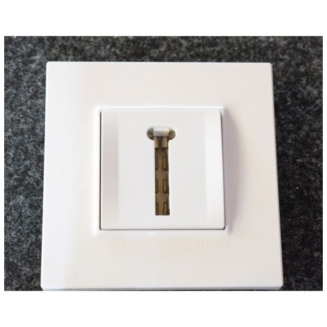 Prise téléphone conjoncteur en T blanc polaire encastré complet avec support et plaque Altira SCHNEIDER ALB44366-P