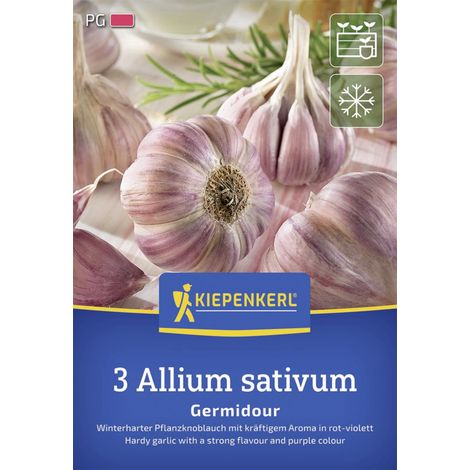 Kiepenkerl Pflanzgut Winterknoblauch Germidour 3 Stück (1/2)
