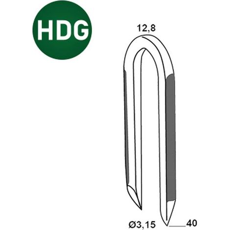 1 500 Crampillons Galvanisées à Chaud (Hdg) - 12.8x40x3.15 mm - D-Work